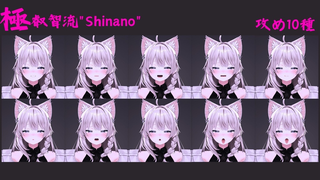 多彩な26種類セット!しなの用最強表情パック/Shinano FaceAnimation『極 叡智流"Shinano"』(攻め10種類+受け16種類)
