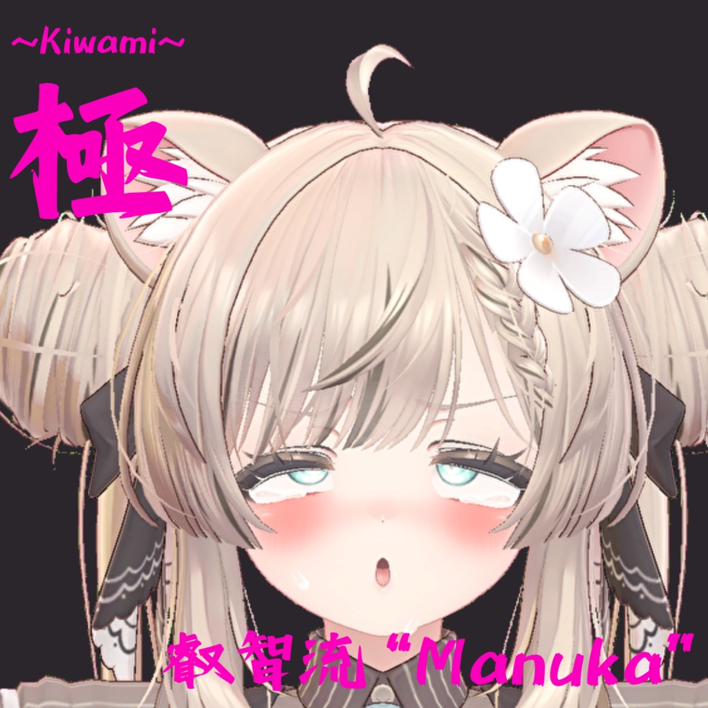 22種類セット!マヌカ用最強表情パック/Manuka FaceAnimation『極 叡智流"Manuka"』(攻め11種類+受け11種類)