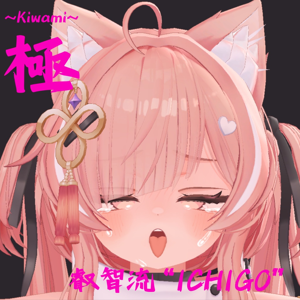 シリーズ最多69種類セット!イチゴちゃん専用最強表情パック/ICHIGO FaceAnimation『極 叡智流“ICHIGO”』(攻め24種類+受け45種類)