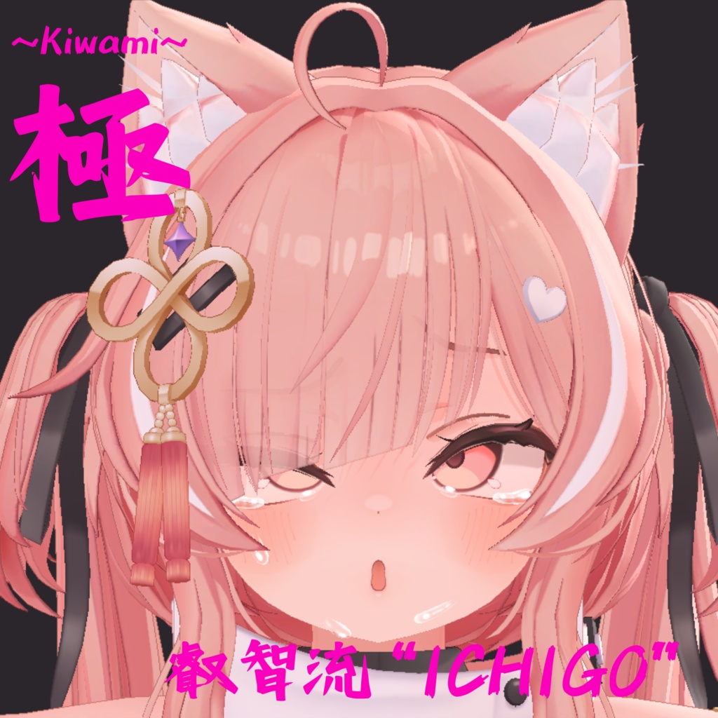 シリーズ最多69種類セット!イチゴちゃん専用最強表情パック/ICHIGO FaceAnimation『極 叡智流“ICHIGO”』(攻め24種類+受け45種類)