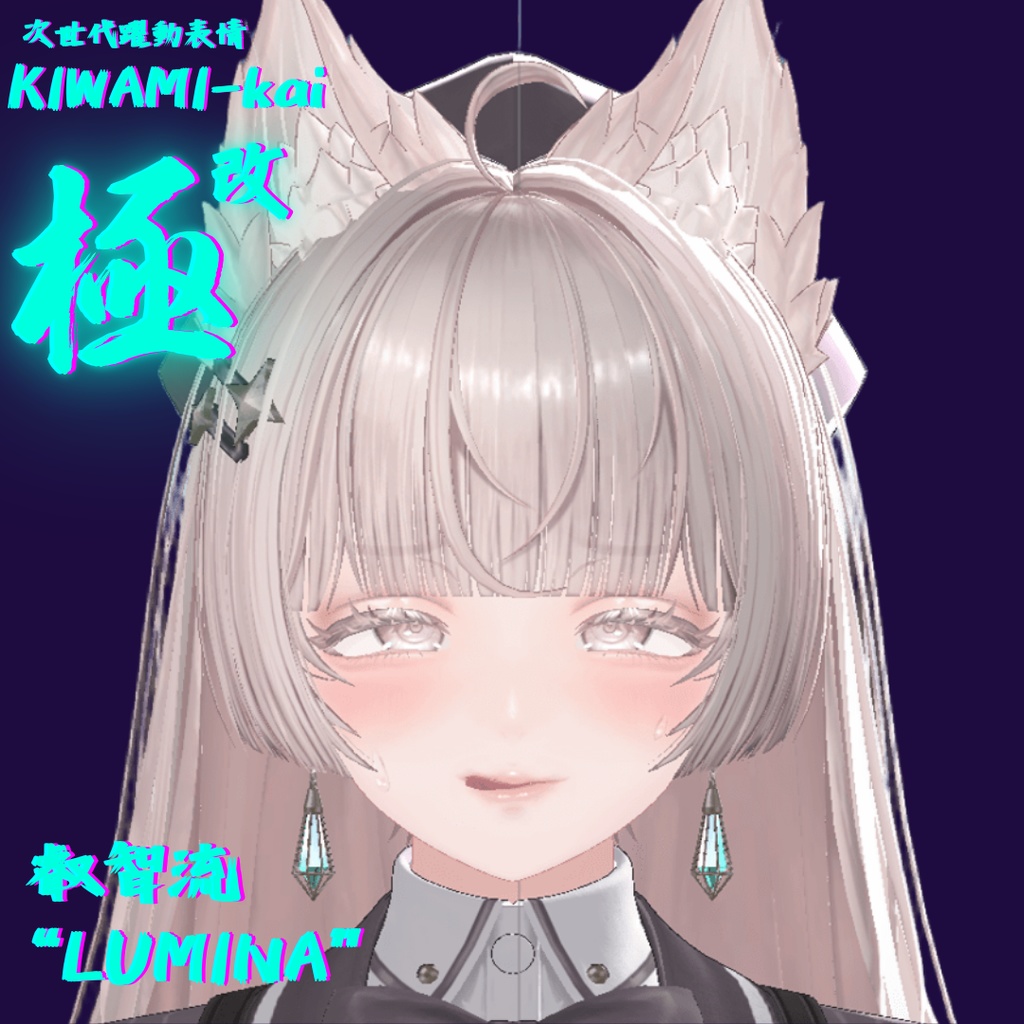 62種全アニメーションが動く!ルミナちゃん専用次世代躍動表情パックLumina FaceAnimation『極 叡智流 "改" LUMINA』62種セット!(攻め24種類+受け38種類)+α