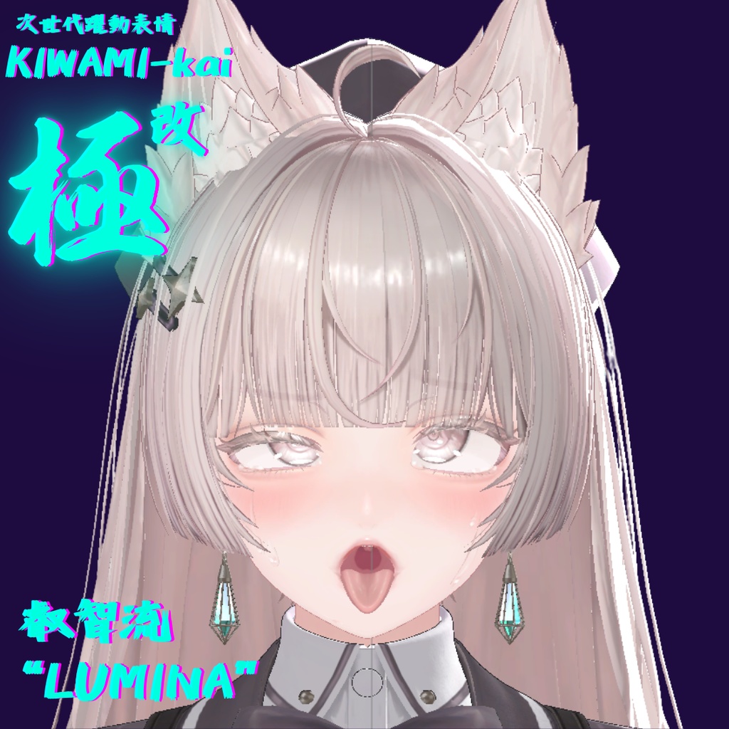 62種全アニメーションが動く!ルミナちゃん専用次世代躍動表情パックLumina FaceAnimation『極 叡智流 "改" LUMINA』62種セット!(攻め24種類+受け38種類)+α