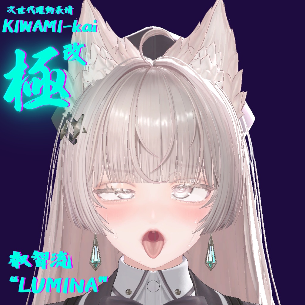 62種全アニメーションが動く!ルミナちゃん専用次世代躍動表情パックLumina FaceAnimation『極 叡智流 "改" LUMINA』62種セット!(攻め24種類+受け38種類)+α