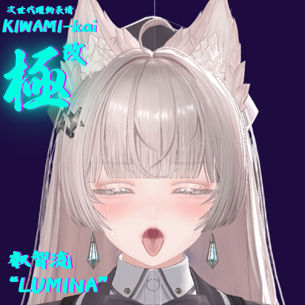 62種全アニメーションが動く!ルミナちゃん専用次世代躍動表情パックLumina FaceAnimation『極 叡智流 "改" LUMINA』62種セット!(攻め24種類+受け38種類)+α