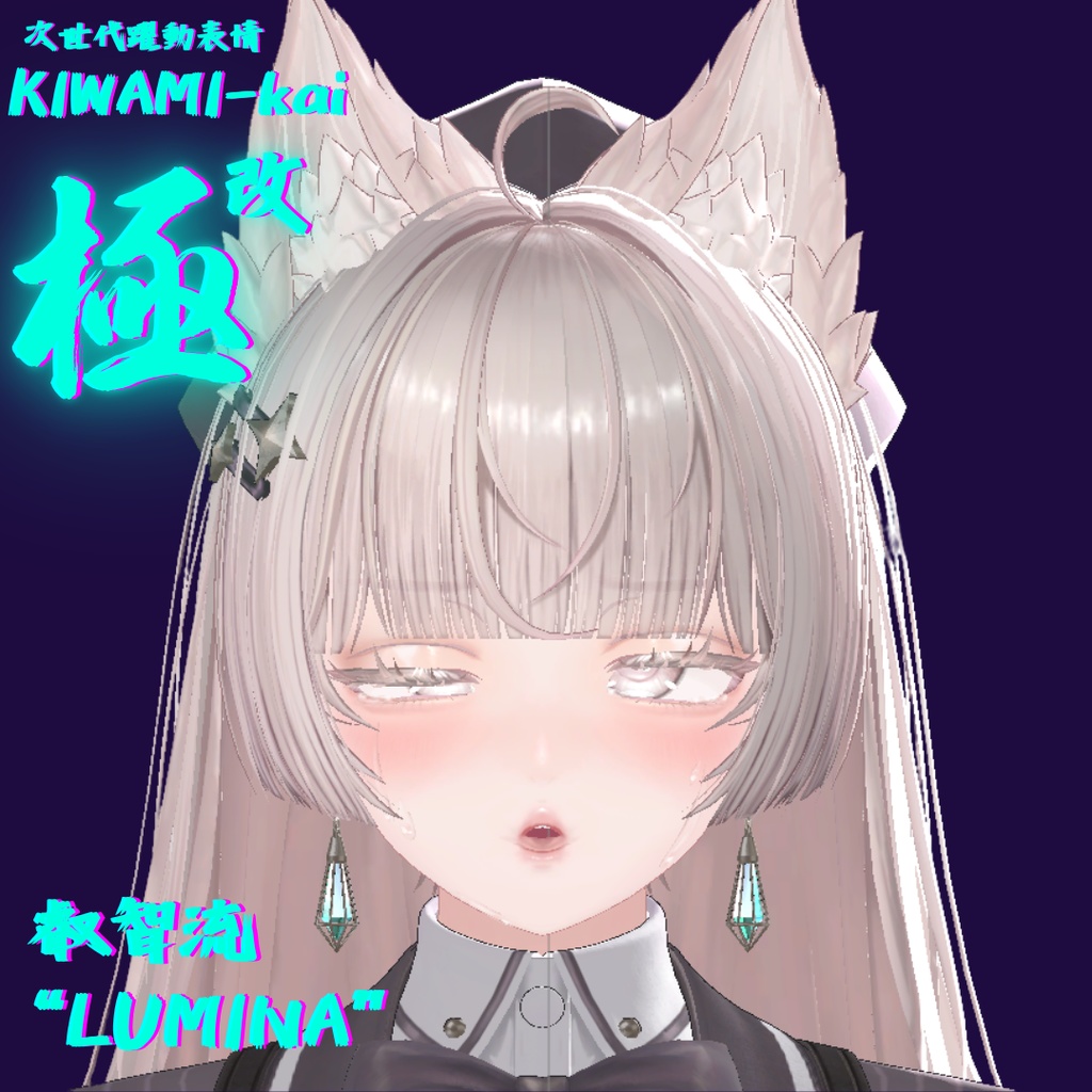 62種全アニメーションが動く!ルミナちゃん専用次世代躍動表情パックLumina FaceAnimation『極 叡智流 "改" LUMINA』62種セット!(攻め24種類+受け38種類)+α