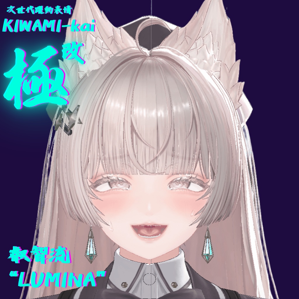 62種全アニメーションが動く!ルミナちゃん専用次世代躍動表情パックLumina FaceAnimation『極 叡智流 "改" LUMINA』62種セット!(攻め24種類+受け38種類)+α