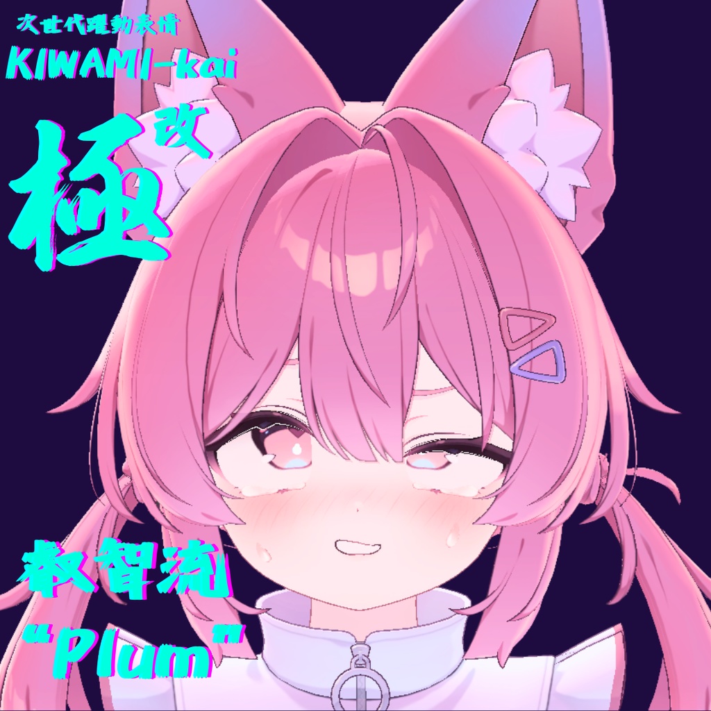 128種全アニメーションが動く!プラムちゃん専用次世代躍動表情パック Plum FaceAnimation『極 叡智流 "改" Plum』128種セット!(攻め60種類+受け68種類)+α