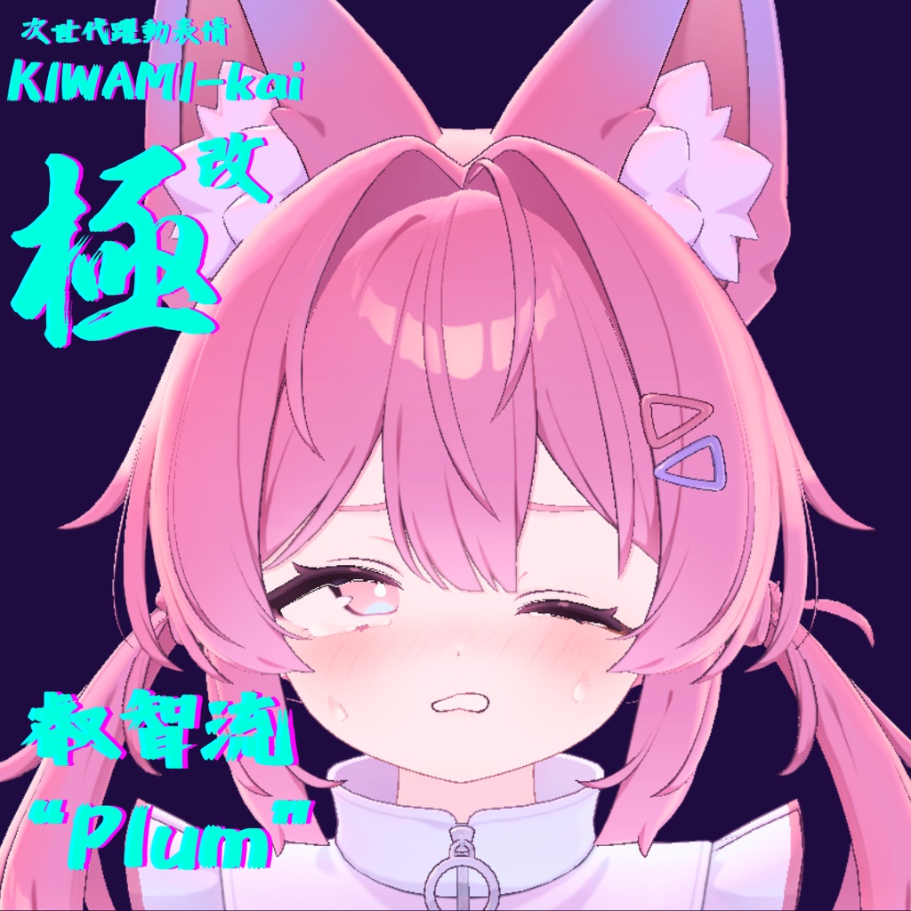 128種全アニメーションが動く!プラムちゃん専用次世代躍動表情パック Plum FaceAnimation『極 叡智流 "改" Plum』128種セット!(攻め60種類+受け68種類)+α