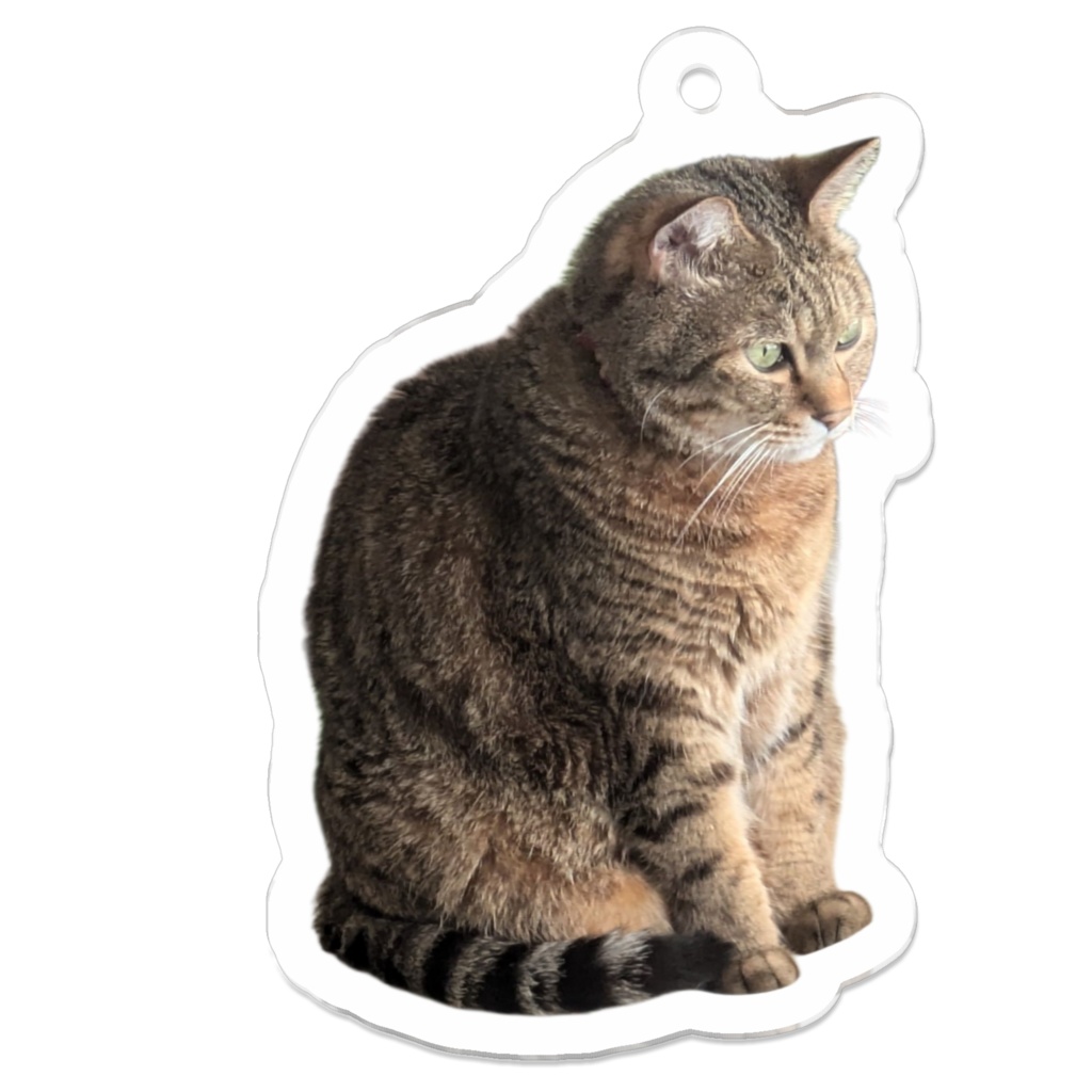 まっくちゅアクキー