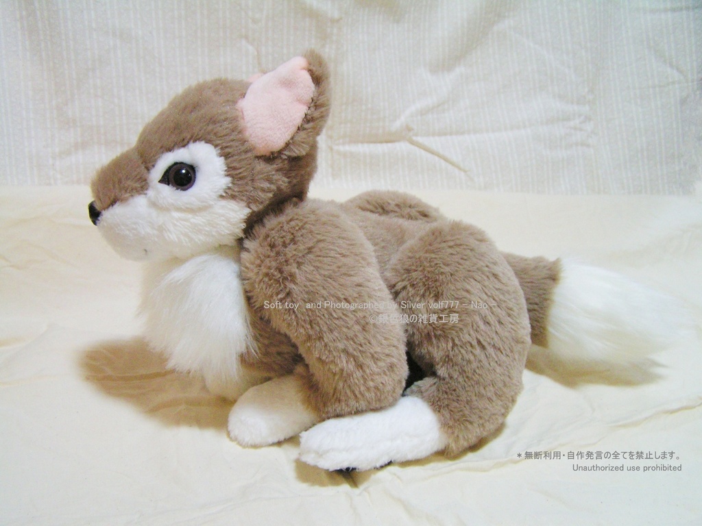 チョコレートブラウンの狼(オオカミ)