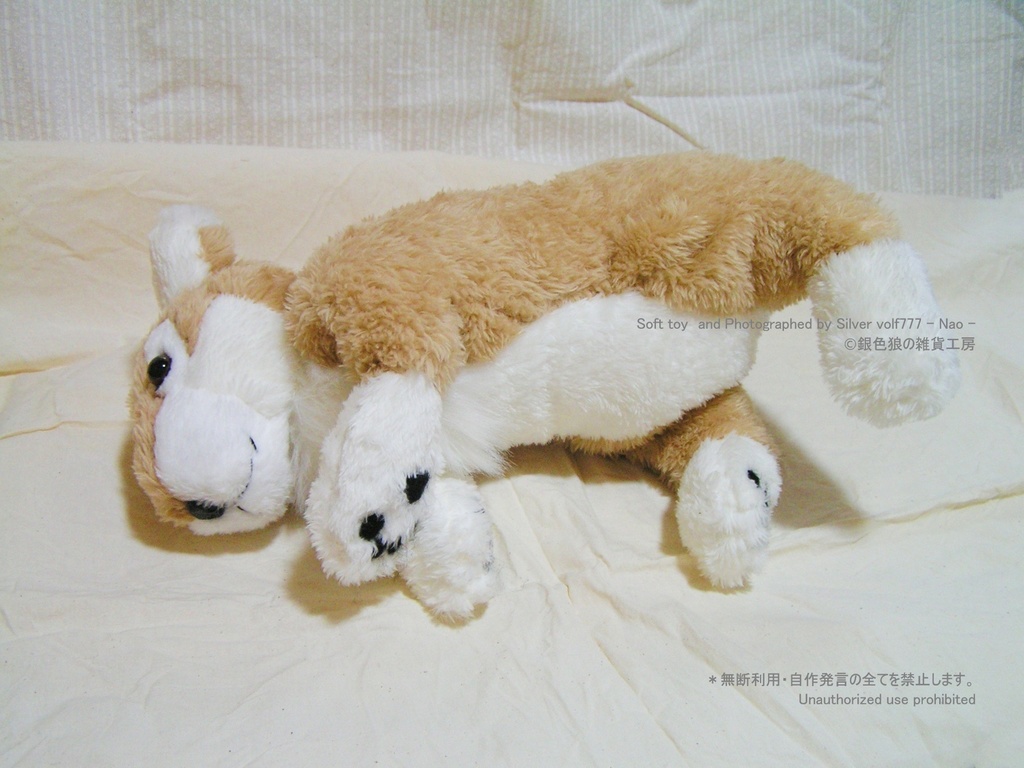 キャラメルブラウンの狼(オオカミ)