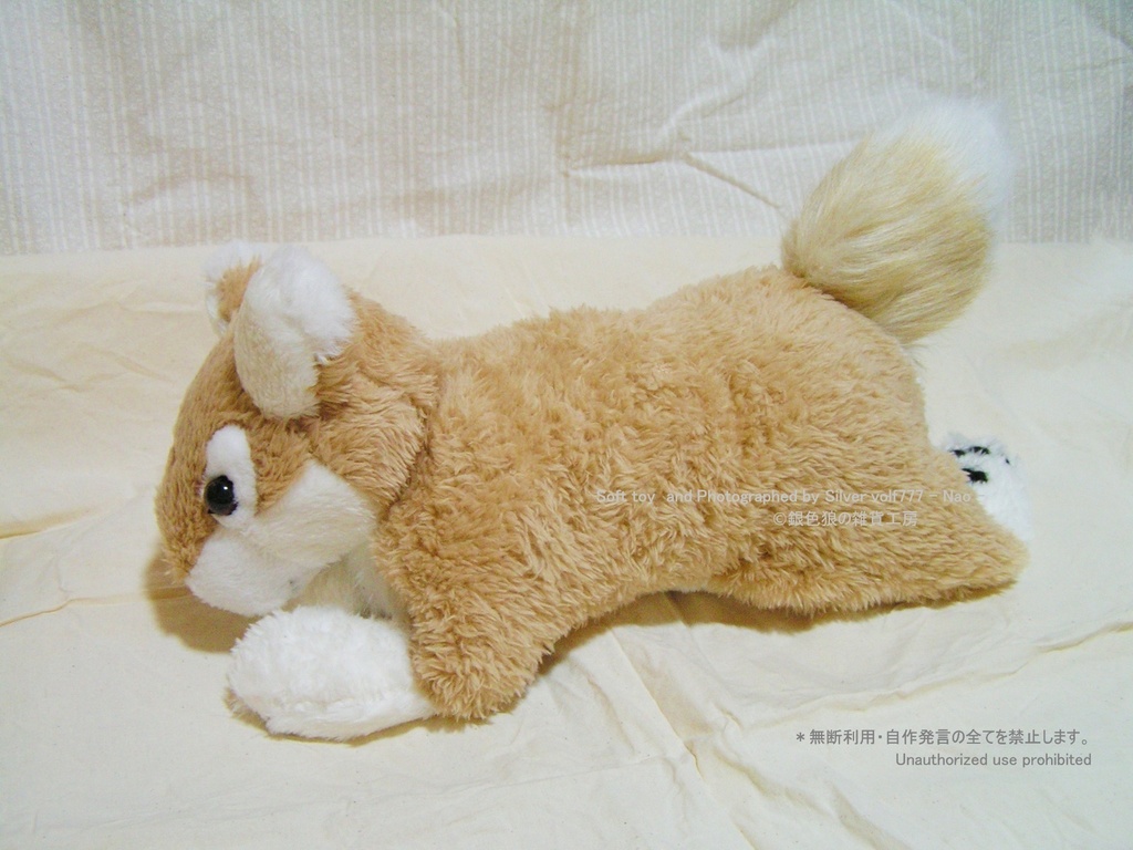 キャラメルブラウンの狼(オオカミ)