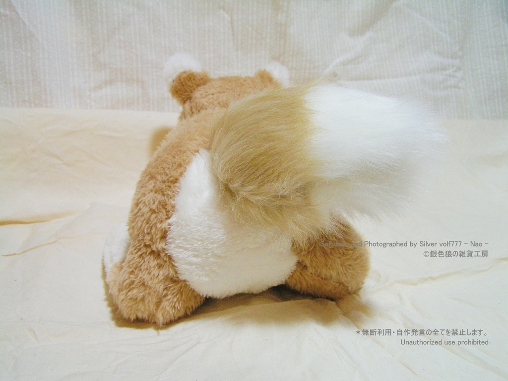 キャラメルブラウンの狼(オオカミ)