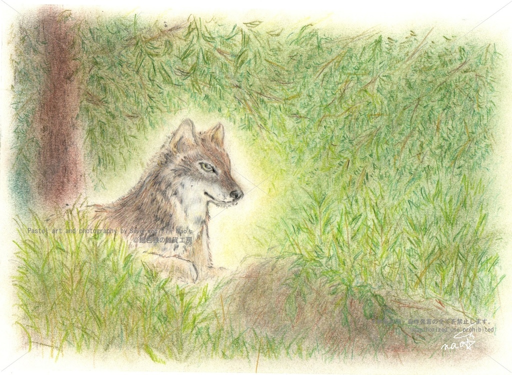 【原画】森に潜むオオカミ