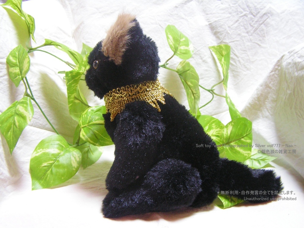 テディベア系バステト神