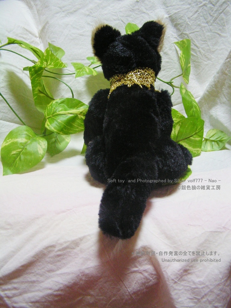 テディベア系バステト神