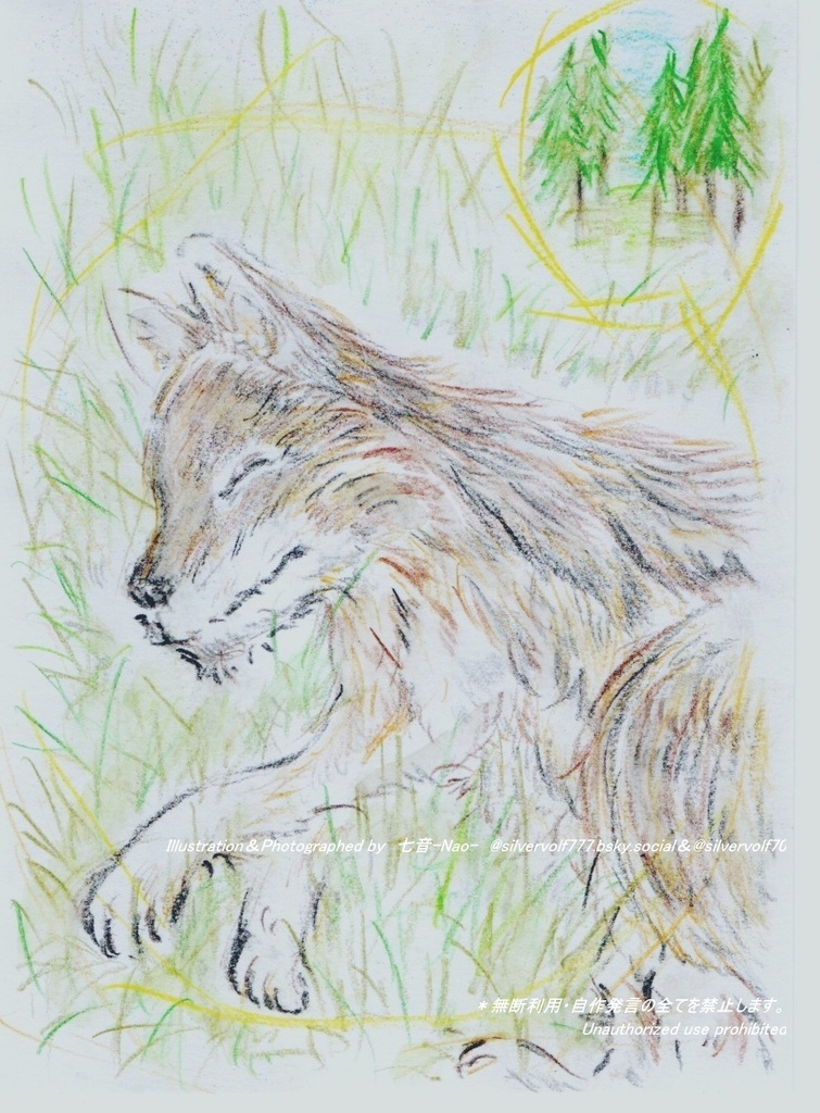 【原画】お昼寝オオカミ