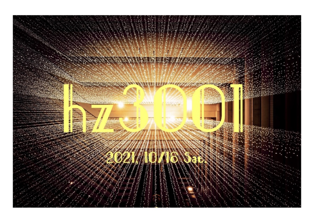 hz3001問題集【Excelあり】