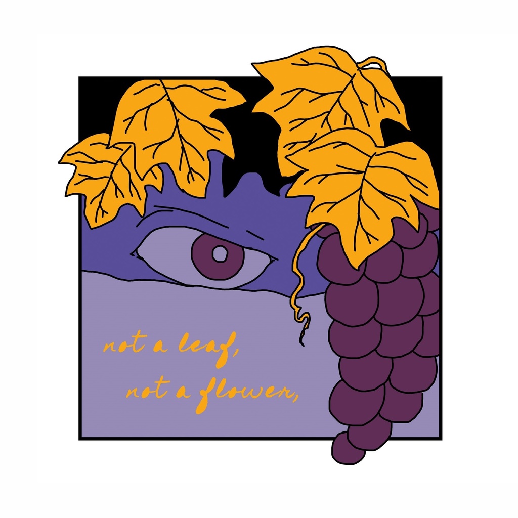 not a leaf, not a flower,【ステダニ】