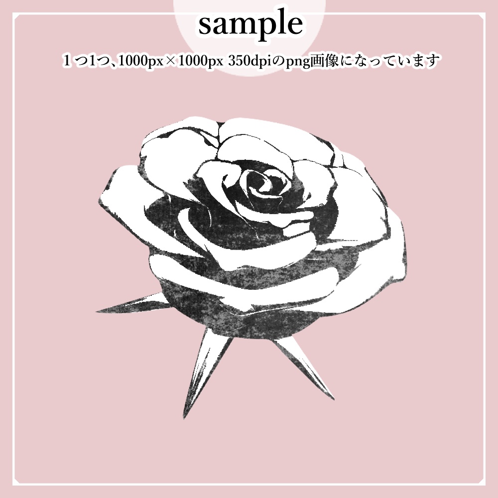 【png素材】組み合わせ自由な薔薇セット