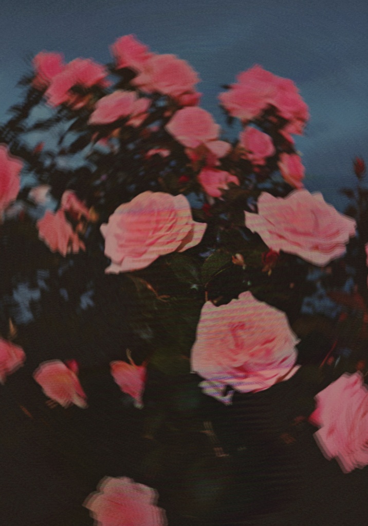 Dreaming Murmurs:Just for My Nighttime Muse
