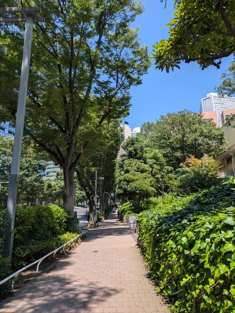 Sunny day in Tokyo.
