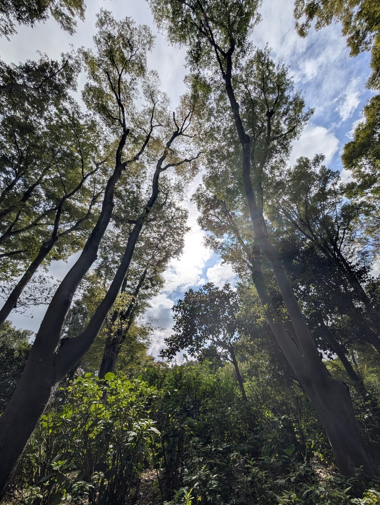 Shinjuku Chuo Park