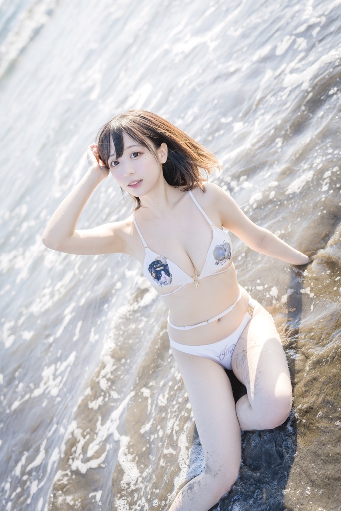 【C102】A3ポスター①