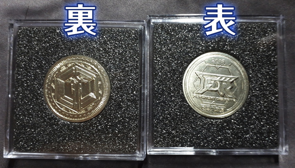 特注洋白コイン-フラグメントディグレイン