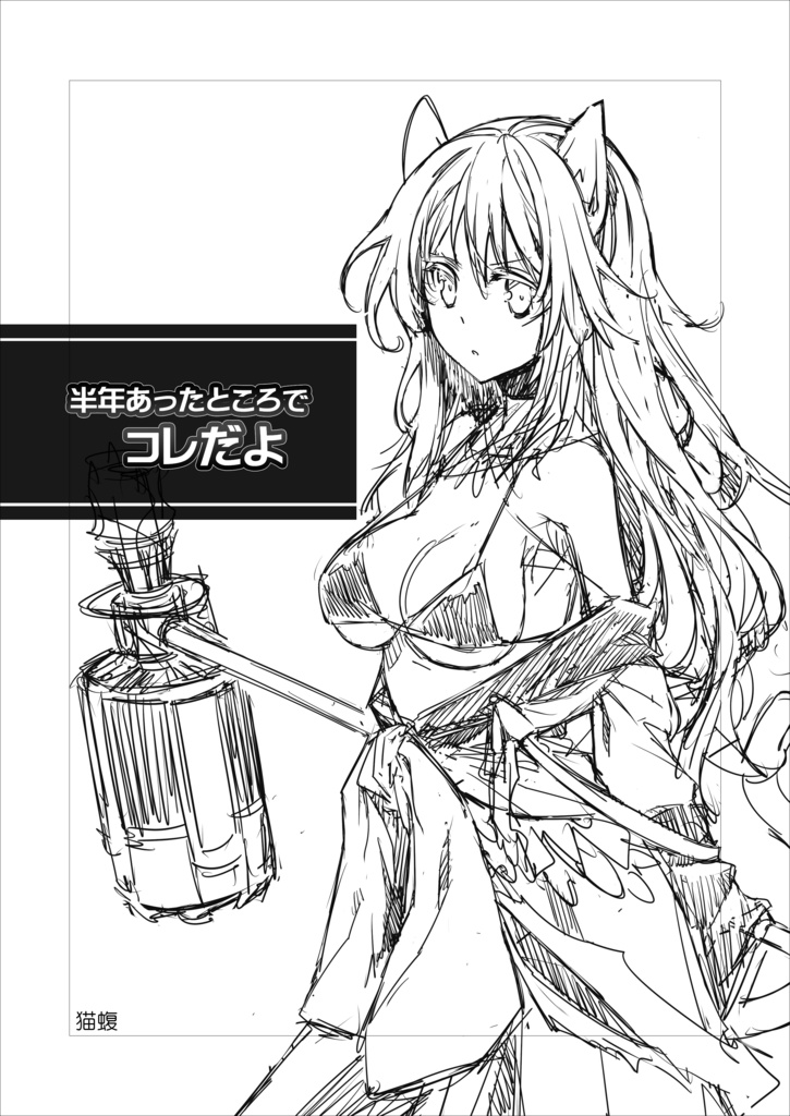 半年あったところでコレだよ