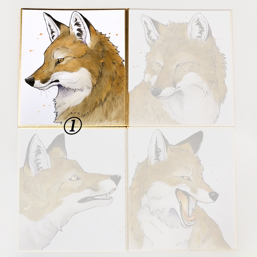 FOX 直筆原画 ミニ色紙