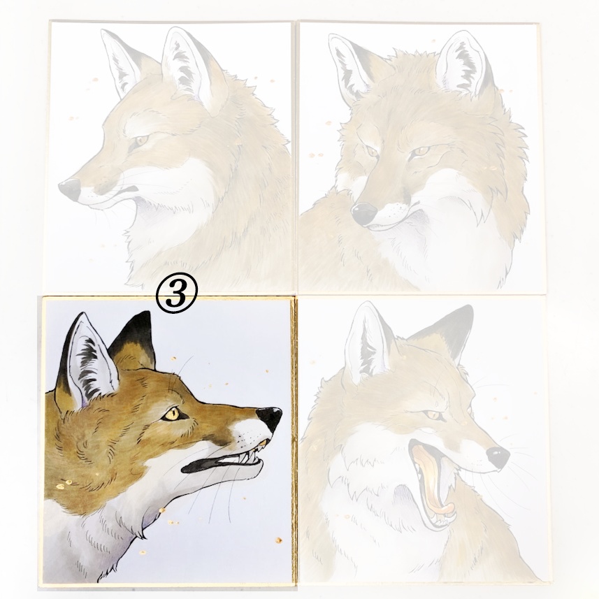 FOX 直筆原画 ミニ色紙