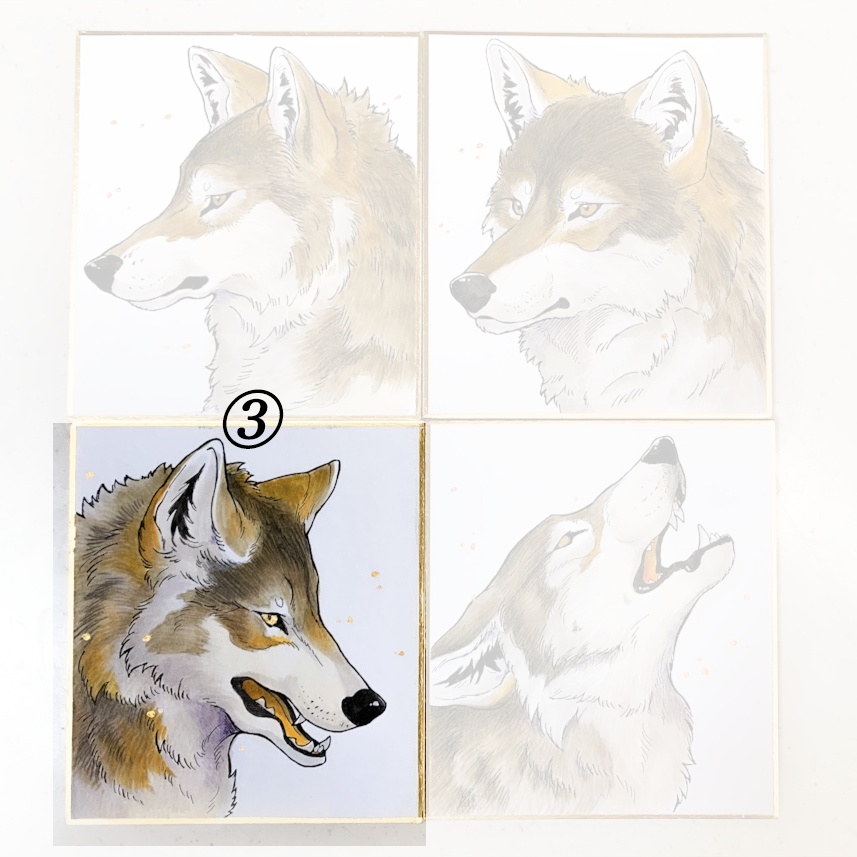WOLF 直筆原画 ミニ色紙