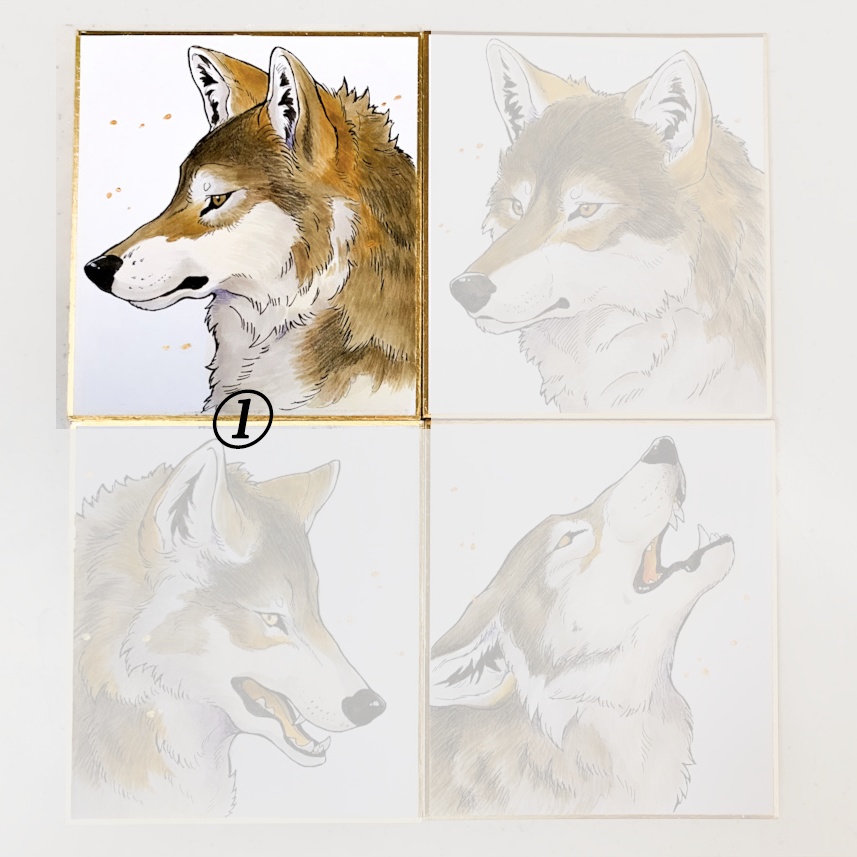 WOLF 直筆原画 ミニ色紙