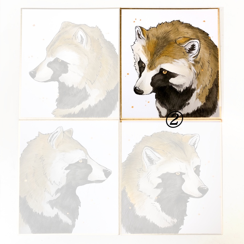 RACOONDOG 直筆原画 ミニ色紙