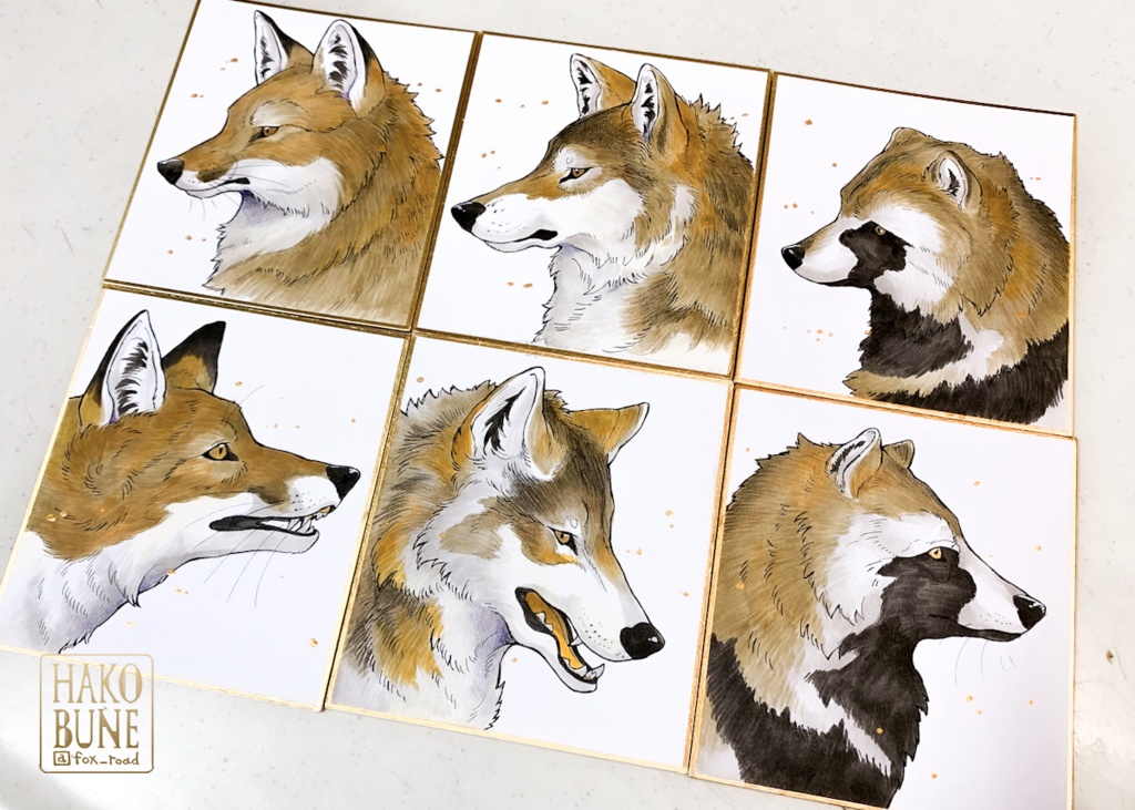 RACOONDOG 直筆原画 ミニ色紙