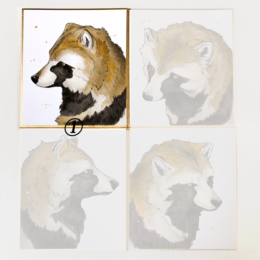 RACOONDOG 直筆原画 ミニ色紙