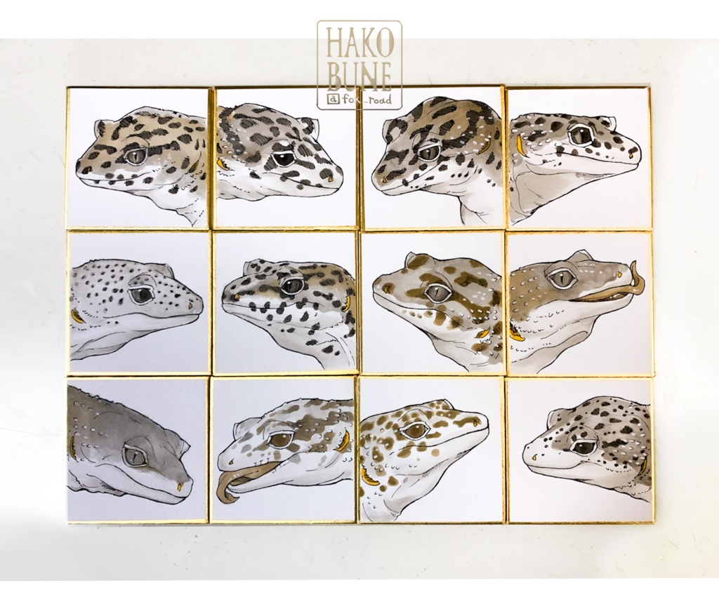 LEOPA 直筆原画 まめ色紙