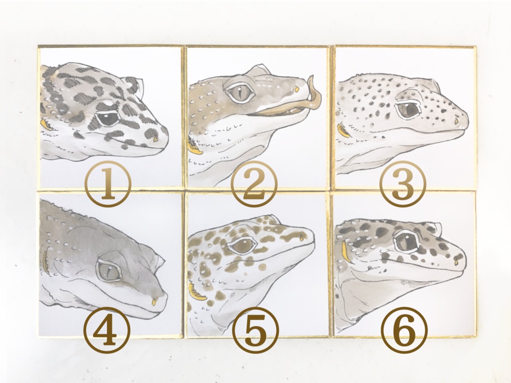 LEOPA 直筆原画 まめ色紙