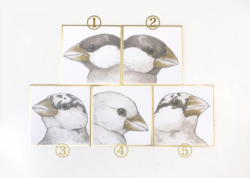 JAVASPARROW 直筆原画 まめ色紙