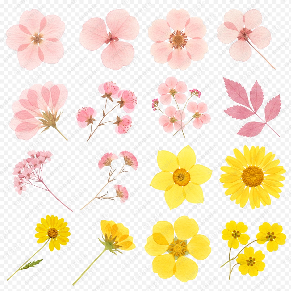 【透過素材】カラフルな押し花 / PNG素材100点セット