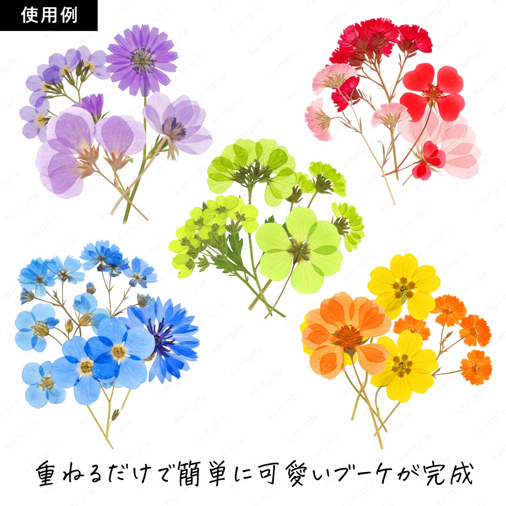 【透過素材】カラフルな押し花 / PNG素材100点セット