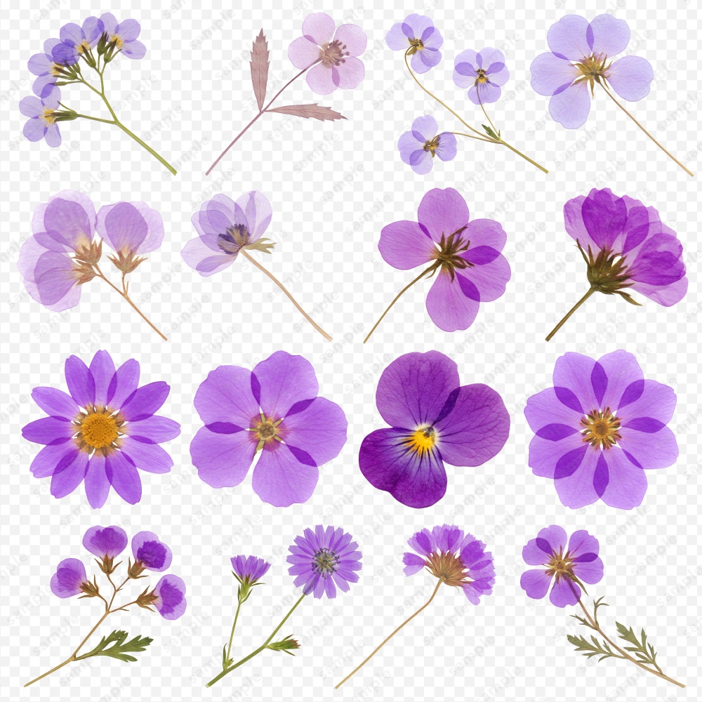 【透過素材】カラフルな押し花 / PNG素材100点セット