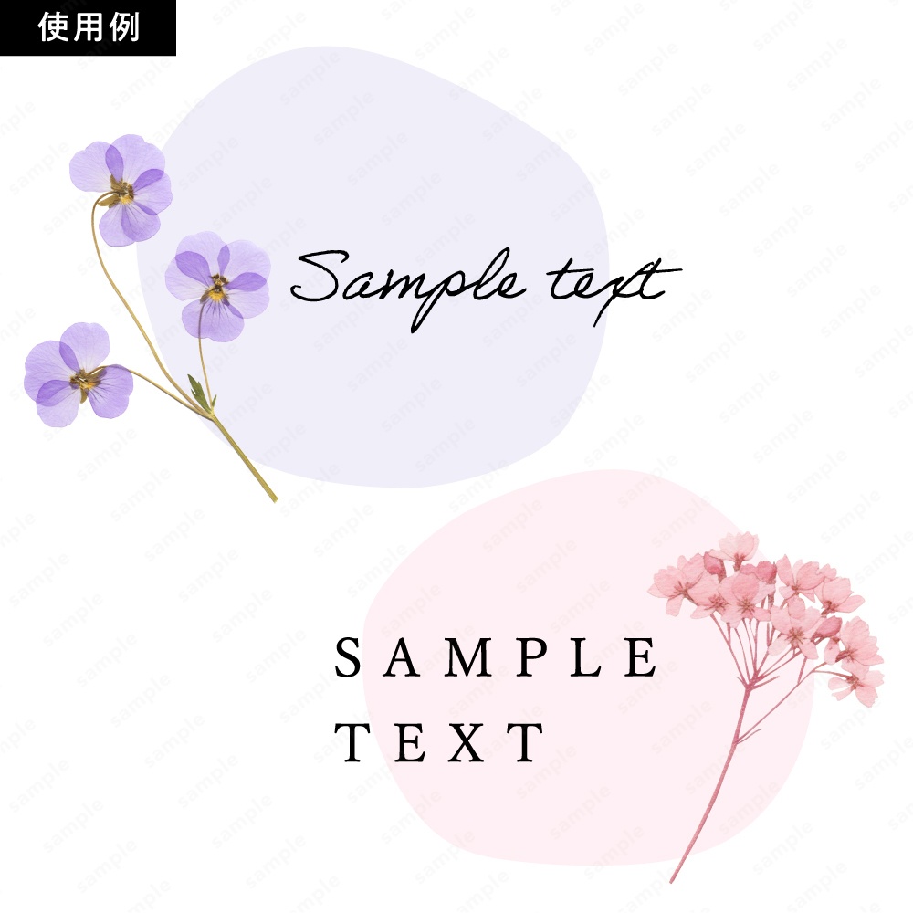 【透過素材】カラフルな押し花 / PNG素材100点セット