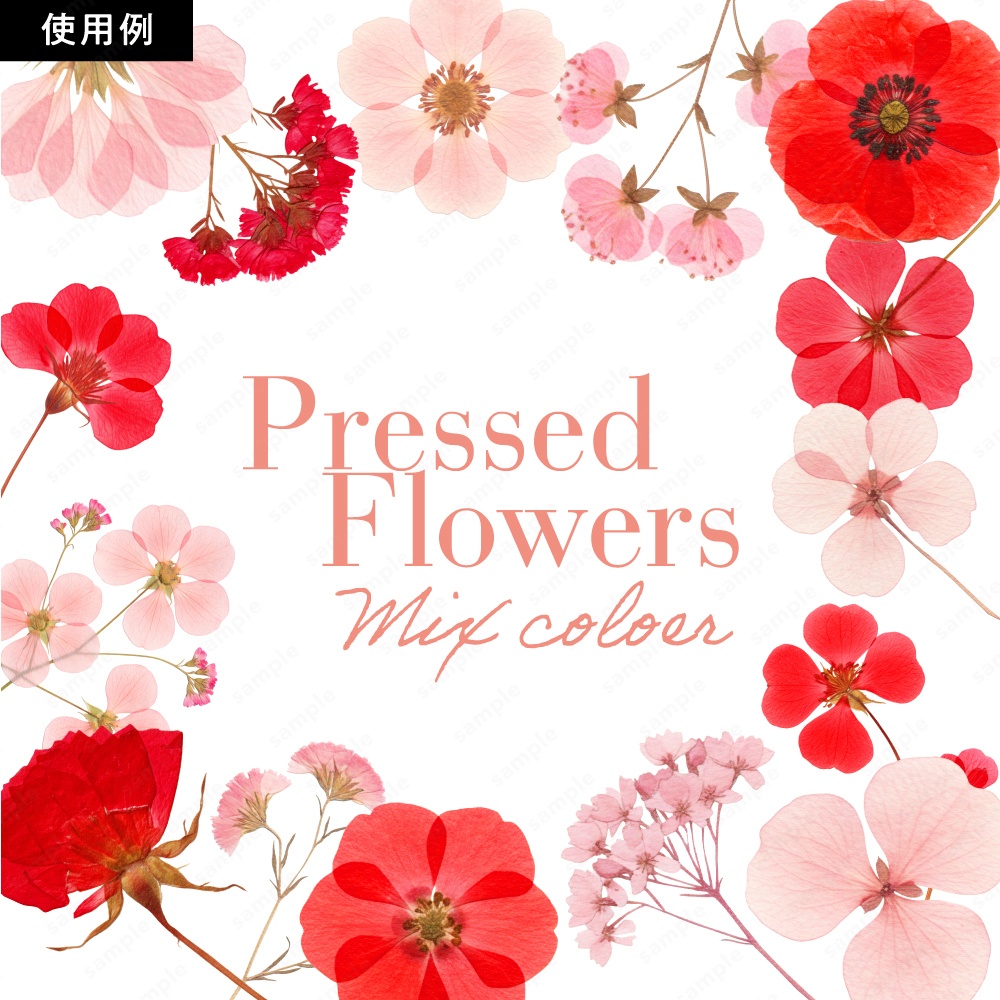 【透過素材】カラフルな押し花 / PNG素材100点セット