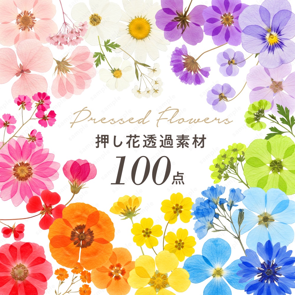 【透過素材】カラフルな押し花 / PNG素材100点セット