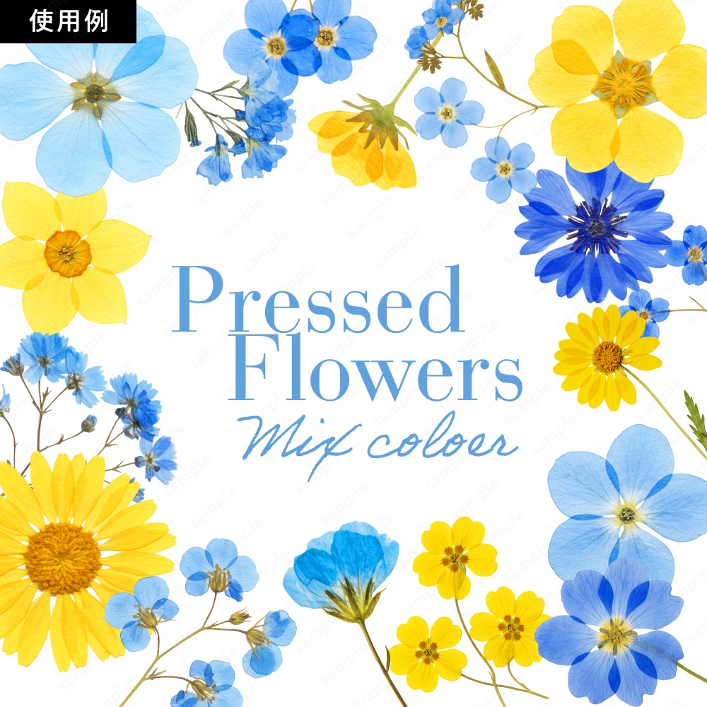 【透過素材】カラフルな押し花 / PNG素材100点セット