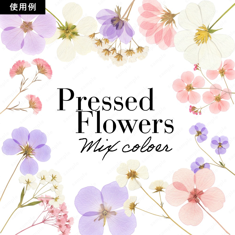 【透過素材】カラフルな押し花 / PNG素材100点セット