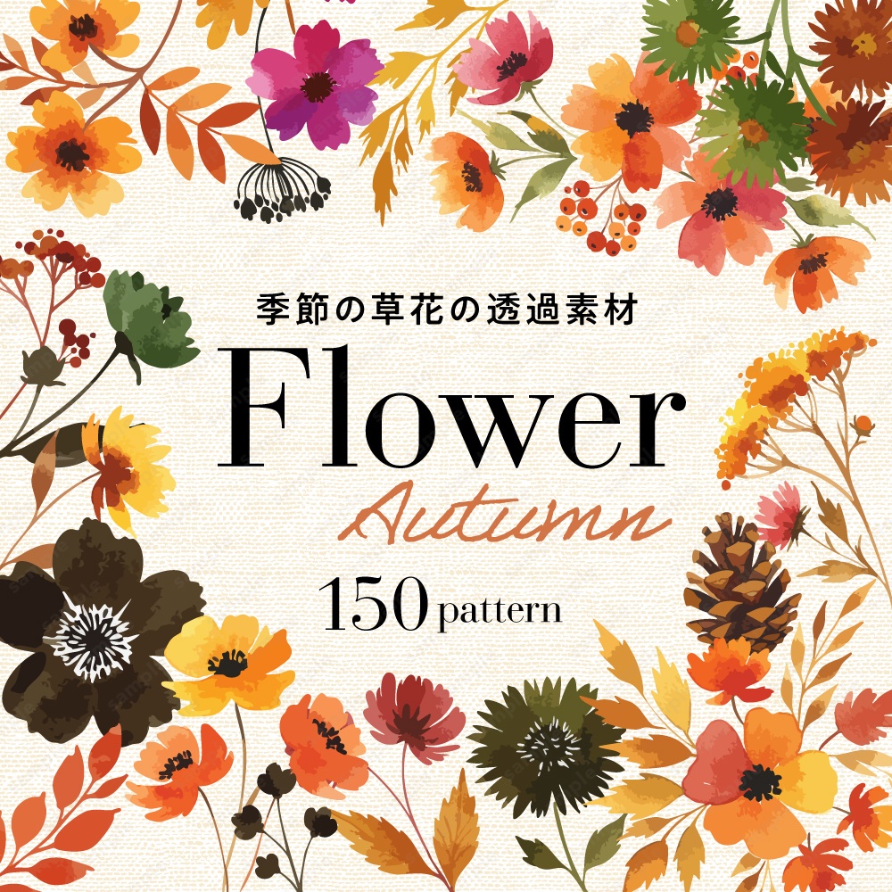 【透過素材】秋の季節の草花の水彩イラスト素材 / 約150パターン