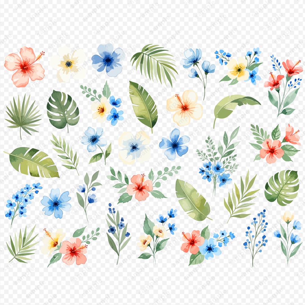 【透過素材】夏の季節の草花の水彩イラスト素材 / 約150パターン